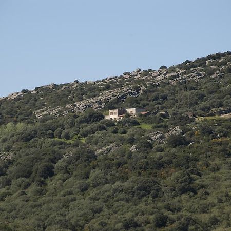 Campi Elisi B&B 사사리 외부 사진