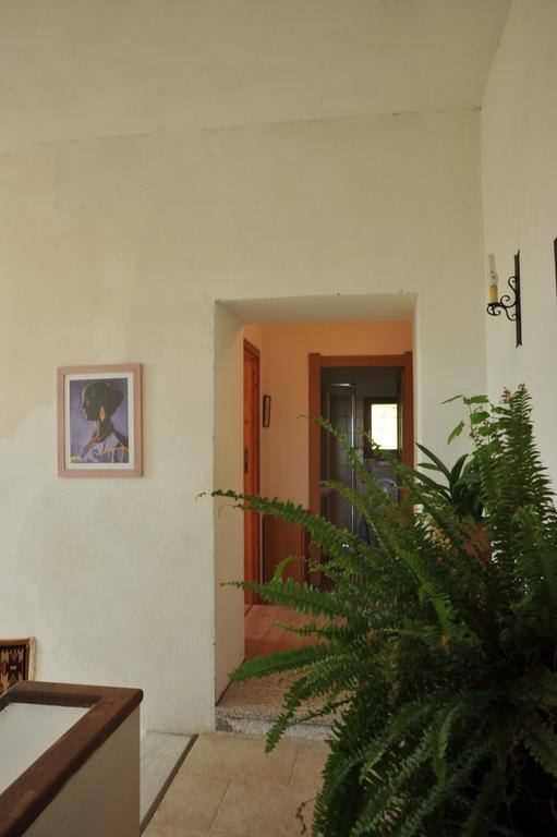 Campi Elisi B&B 사사리 외부 사진
