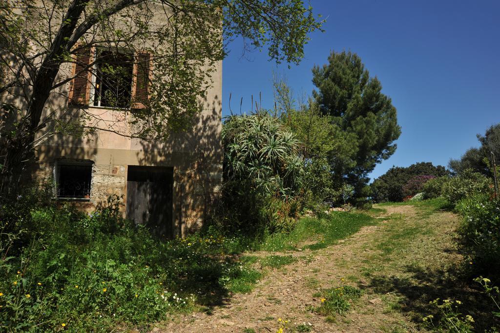 Campi Elisi B&B 사사리 외부 사진